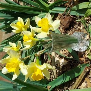 Fostoria Melissa Lead Crystal Bud Vase